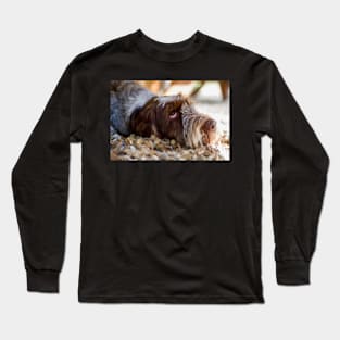 Looking up Spinone Long Sleeve T-Shirt